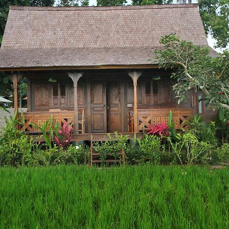 Benisari Batik Garden Cottage أوبود المظهر الخارجي الصورة
