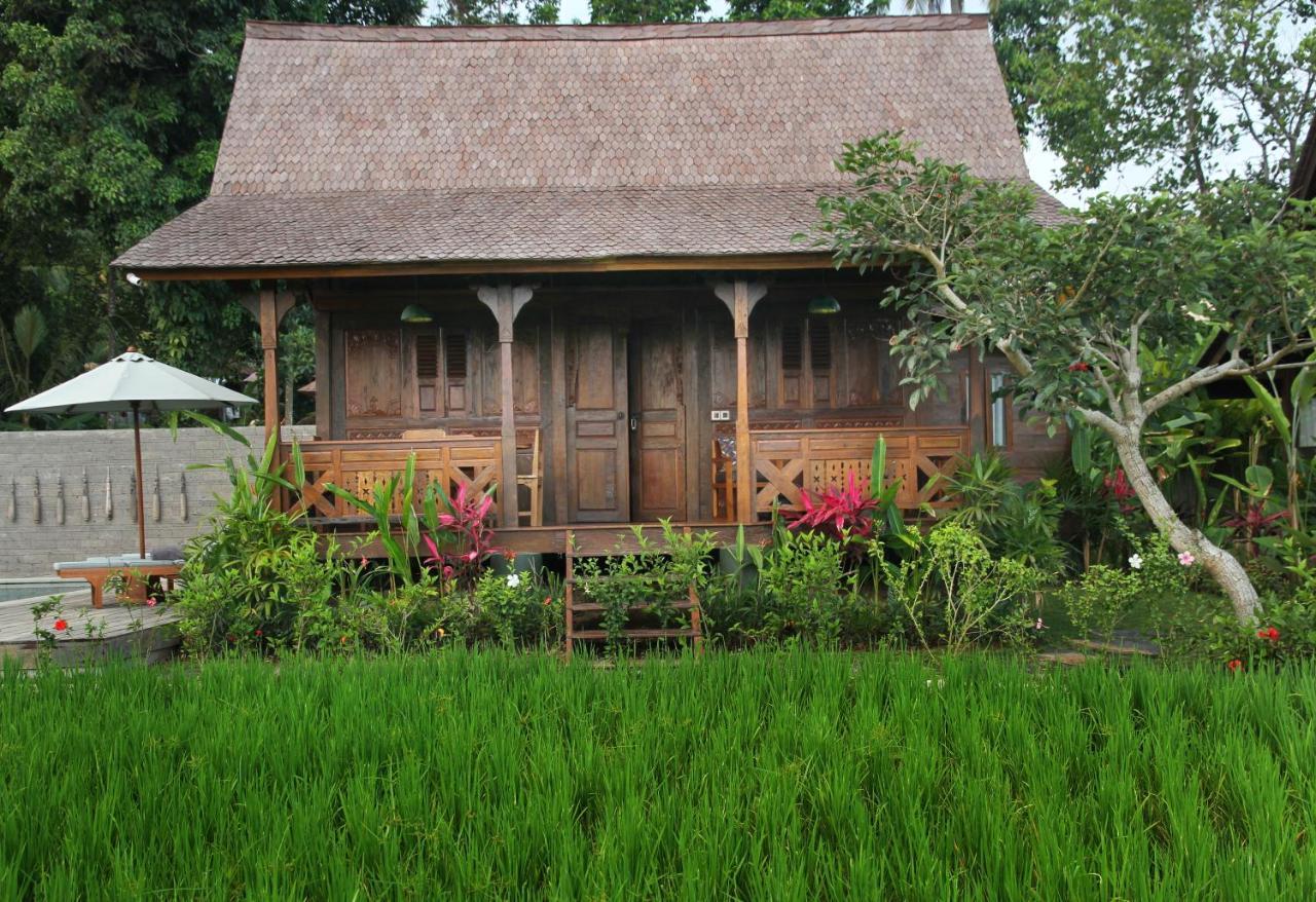 Benisari Batik Garden Cottage أوبود المظهر الخارجي الصورة
