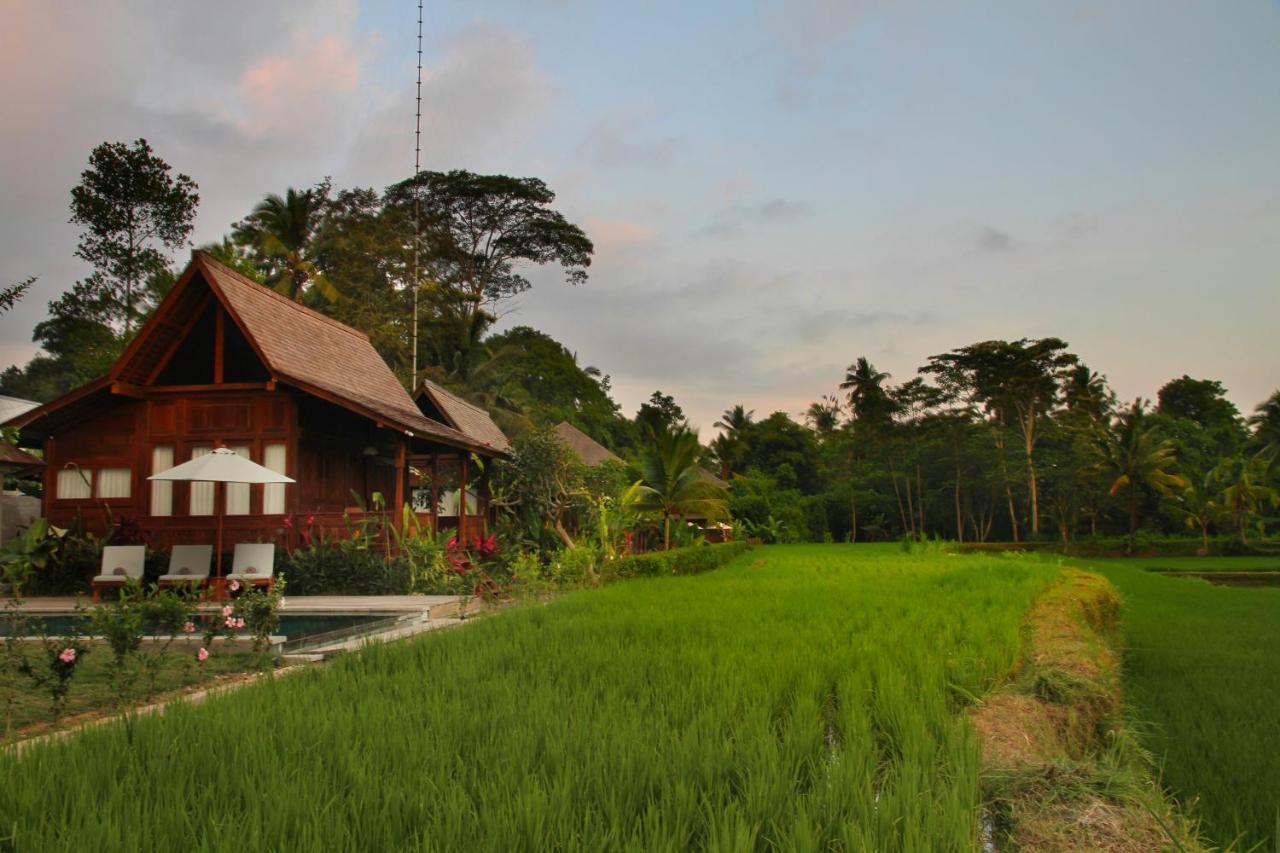 Benisari Batik Garden Cottage أوبود المظهر الخارجي الصورة