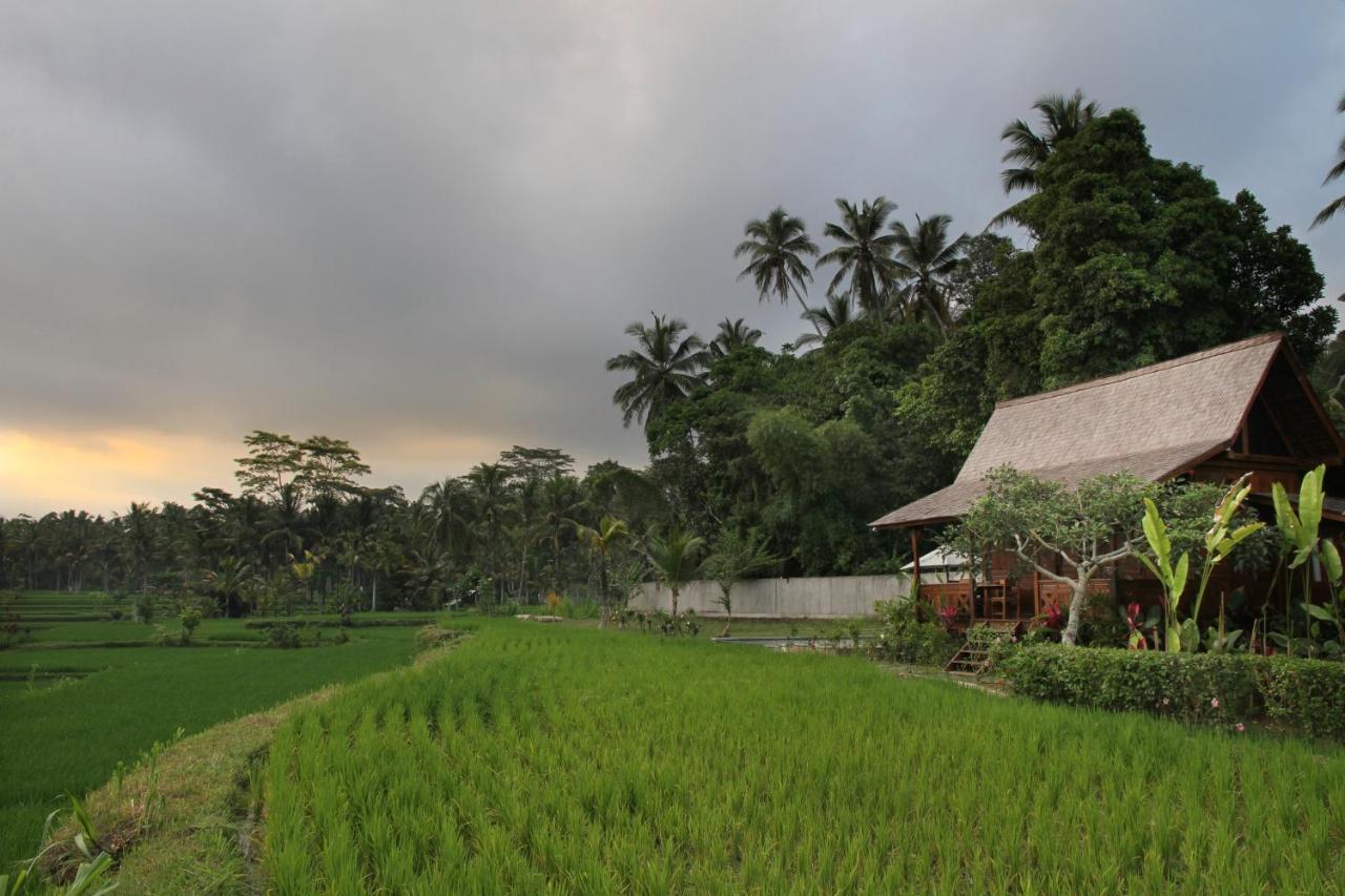 Benisari Batik Garden Cottage أوبود المظهر الخارجي الصورة