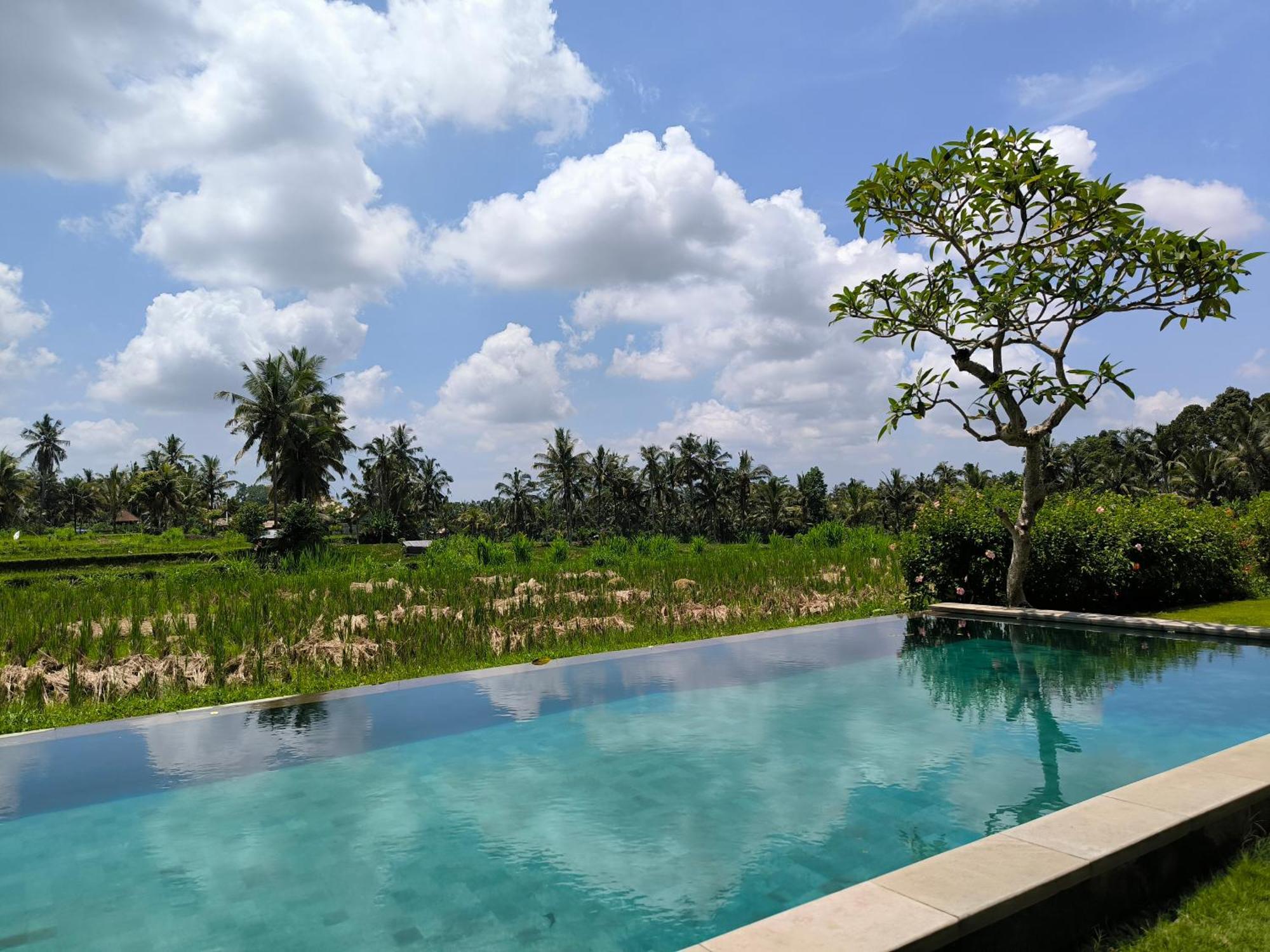 Benisari Batik Garden Cottage أوبود الغرفة الصورة